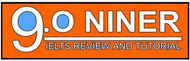 Niner Online Review